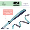 Sassy Woof Star Wars™ The Mandalorian™ Dog Leash 60-Inch with
