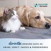 PowAir Urine Stains and Odour - Permanently Eliminates Stains and