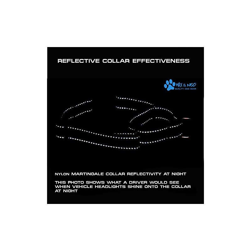 Max and Neo Nylon Martingale Collar - We Donate to