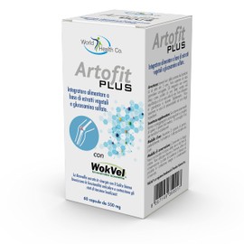 ARTOFIT PLUS 60 capsules of 550 mg