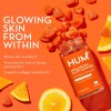 HUM Hyaluronic Glow Gummies - Hydrating Skin Supplement - 60