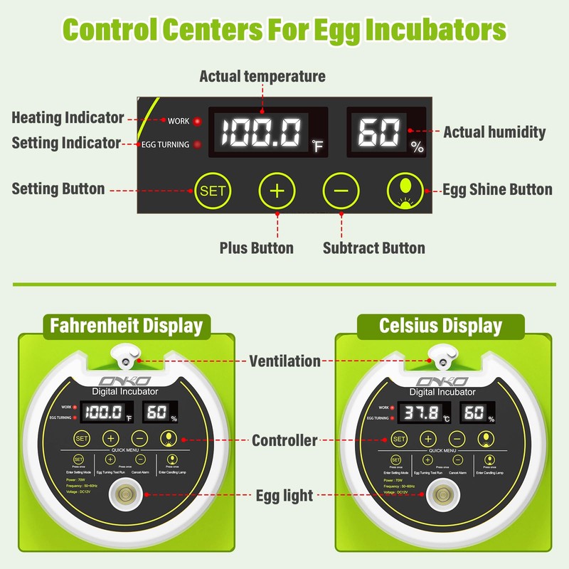 Quail Egg Incubator for Hatching 40 Quail Eggs with Automatic