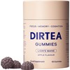 DIRTEA Lion's Mane Mushroom Gummies – 2400mg per Serving |