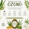 Jabón Orgánico Artesanal De Sábila con Aceite Ozonizado y Vitamina