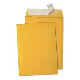 Universal Peel Seal Strip Catalog Envelope