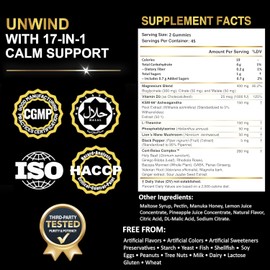 Magnesium Glycinate Gummies – 17-in-1 Formula with Ashwagandha, L-Theanine & Lion’s Mane for Stress Support, Calm Focus & Relaxation