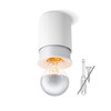 Twister Living Ceiling Light - Easy to Fix, No Screws,