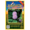 Everwilde Farms - 60 Sensitive Briar Native Wildflower Seeds -