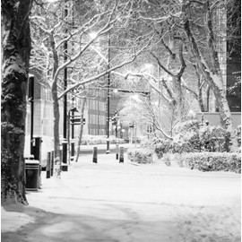 Christmas Cards Multi-pack, 12 Multi-pack Christmas Cards, 4 Different Designs, Pack of 12 Multipack Christmas Card, Winter Scene Multi-pack Christmas Cards, Christmas Cards Pack, AMZICONIC1