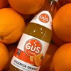 GuS Grown-Up Soda | Lightly Sweetened Sodas with Real Juices