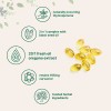 Aceite Oregano 6000 Mg 300 Softgels Hecho En Usa Sin