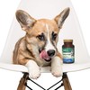 Petnc Senior Multi Chewables (60 Count), Daily Dog Multivitamin &