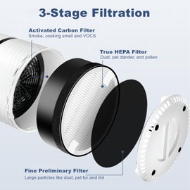 Replacement Filter Compatible with LEVOIT LV-H132 & LV-H132-RF Air Purifier H13 True HEPA Filter High-Efficiency Activated Carbon Filter