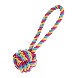 House of Paws Rainbow Ball Jumbo Dog Toy