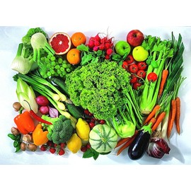 FRONTIER SEEDS #9 Heirloom Vegetable 150+ Seeds 6 Variety Garden Set Emergency Survival NON-GMO