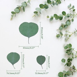 300PCS+ Real Eucalyptus Leaves for Shower - Sukh Dried Eucalyptus Leaves for Shower Fresh Shower Plant eucalipto para decoracion Preserved Flower Petals Decor Aisle Decorations Wedding Ceremony