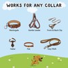 YUEPET Dog Safety Collar Clips 2 Pack Adjustable Prong Backup