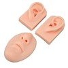 3D Nose and Mouth Model Silicone Ear Model Simulation Display