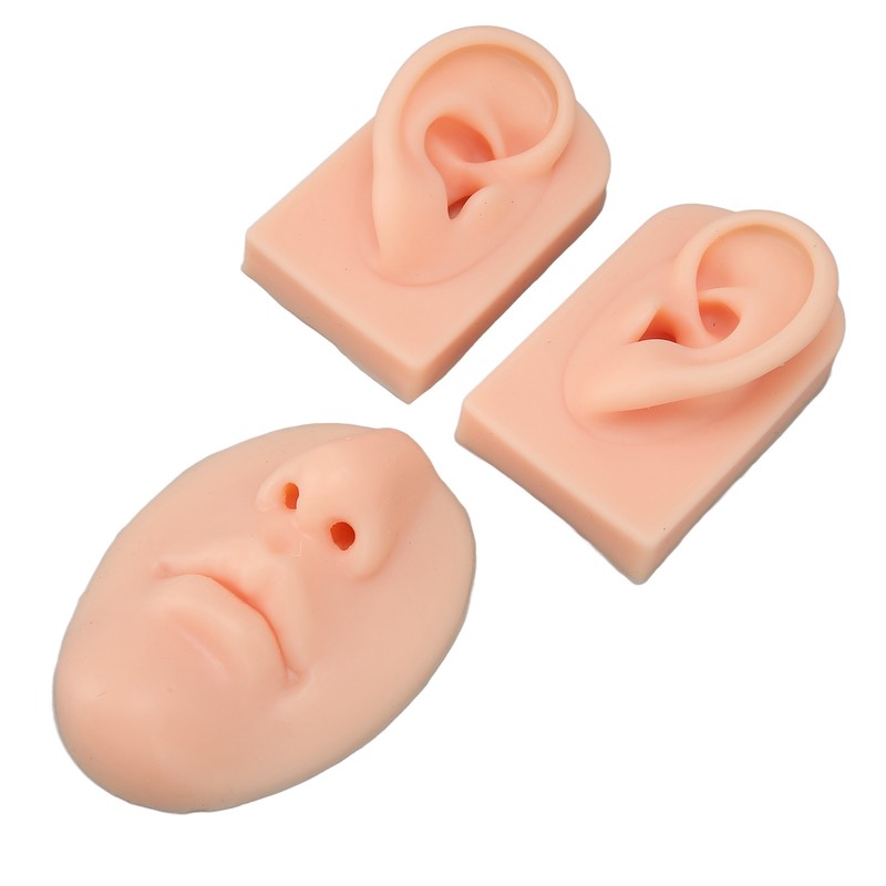 3D Nose and Mouth Model Silicone Ear Model Simulation Display