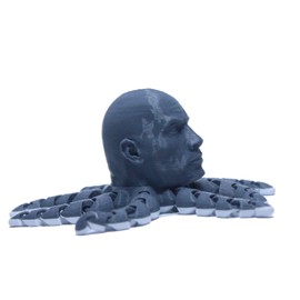 RJW Design Store The Rocktopus WWE Fidget Model - Dwayne The Rock Johnson Wrestling Collectible and Stress Octopus