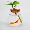 Small Betta Fish Tank Glass Fish Bowls for Betta Fish