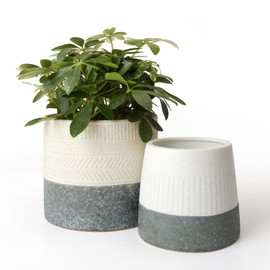 LA JOLIE MUSE Flower Pots Indoor Plant Pot Set of 2, Unique Small Ceramic Plants Planter, 6.4+ 5.1 Inch Planters, Gray & Ivory White