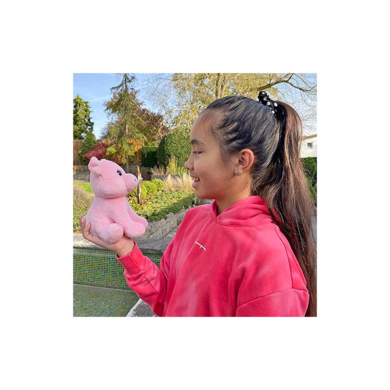 Kögler Moritz 76902 Labertier Pig Approx. 20 cm Tall Plush