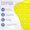 Urinal Screen Deodorizer for Men's Bathroom (12 Pack), Lemon Scented