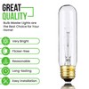 BULBMASTER 25 Watts T10 Tubular Clear Incandescent Light Bulb, Antique