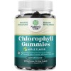 Nature's Craft Chlorophyll Gummies for Cleanse & Detox Support -