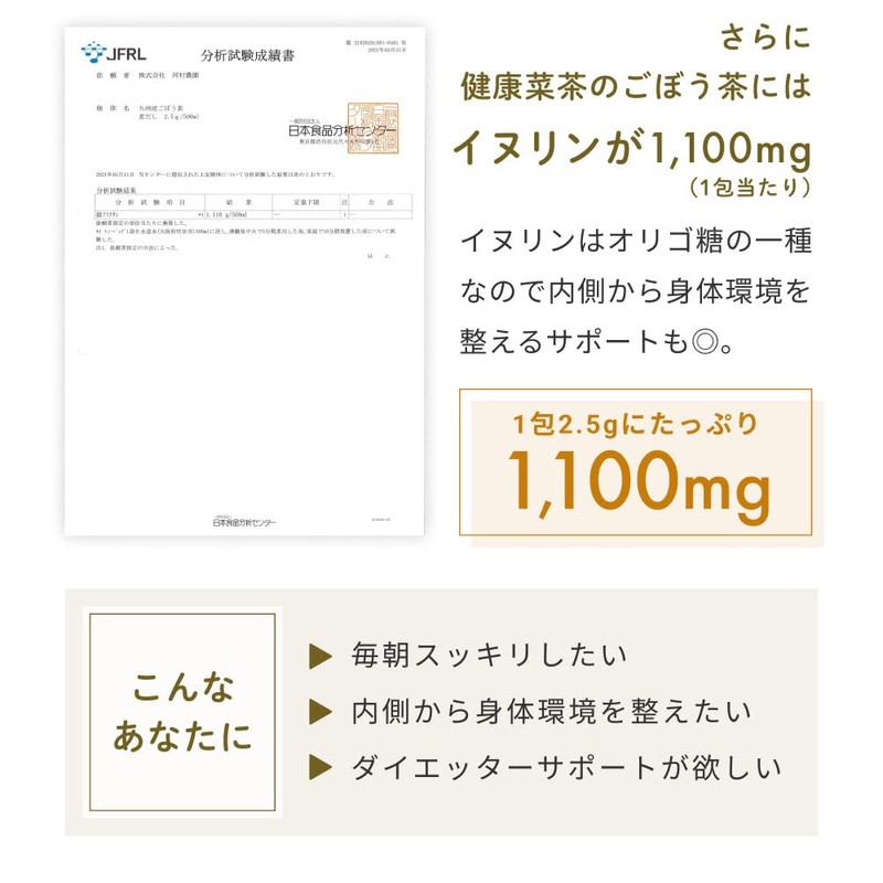 Burdock Tea [Made in Japan] Cold Brew Tea Bag 0.09