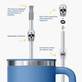 Homestia 6PCS Reusable Drinking Straws, 10.5" Skull Stainless Steel Straws, 20oz 30oz Tumbler Straws, Metal Straws with Silicone Tips and Cleaning Brush Set of 3 Straight and 3 Bent Silver