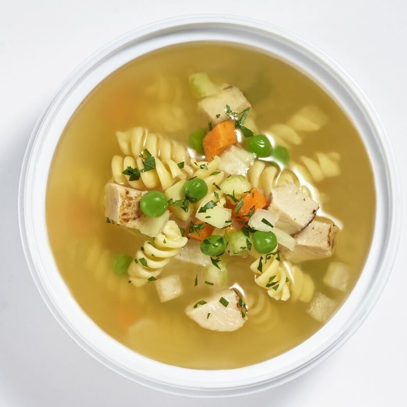 Fit & Fresh Insulated Soup Container With Lid & Sandwich