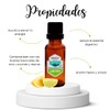 Aceite Esencial de Limón Persa Natural Puro Aromaterapia
