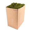 SuperMoss (23806) Mountain Moss – Natural Green Sphagnum Moss for
