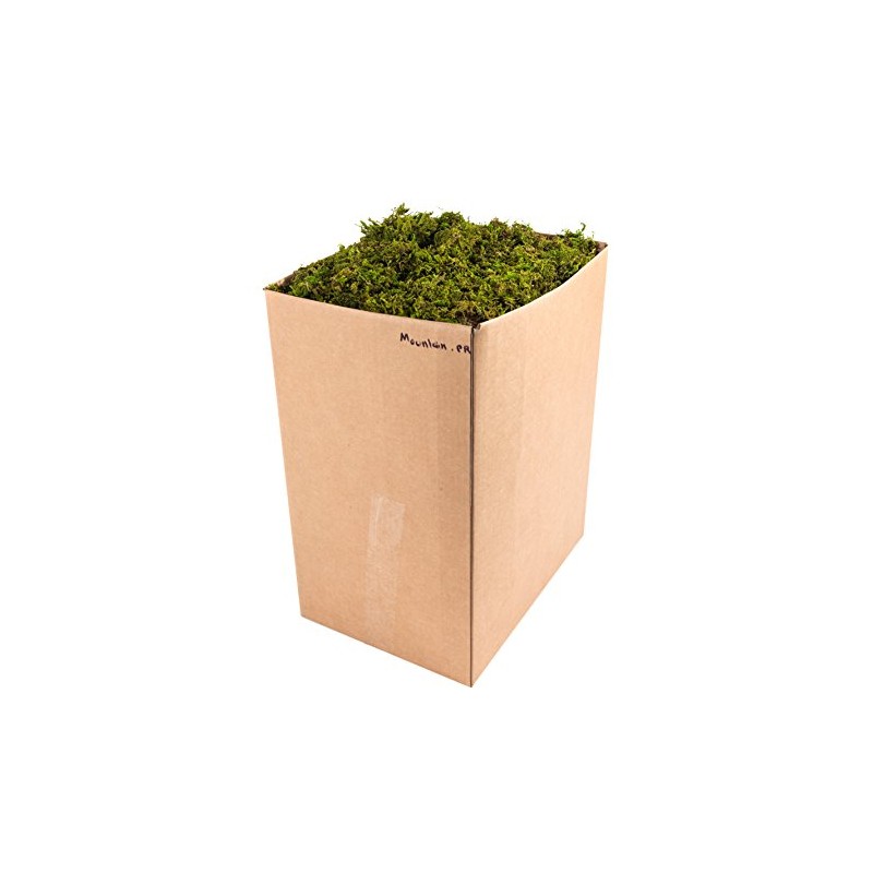 SuperMoss (23806) Mountain Moss – Natural Green Sphagnum Moss for