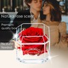 A 100% Real Rose That Lasts Years - Eternal Petals,