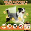 Dog Multivitamin Chews, 16-in-1 Vitamins & Supplements, 500 Soft Chews