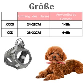 Auliuse Dog Vest Harness, Dog Harness and Llead Set, Reflective Harnesses for Small Dogs, Vest Harness for Cats/Dogs, Adjustable, Breathable