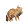 Touch of Class Catnap Cat Resting on Branch Wall Accent