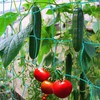 Trellis Netting for Climbing Plants - Heavy Duty Garden Trellis