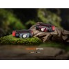 FENIX HM62-T Headlamp with 1200 Lumens and 150 m Range,