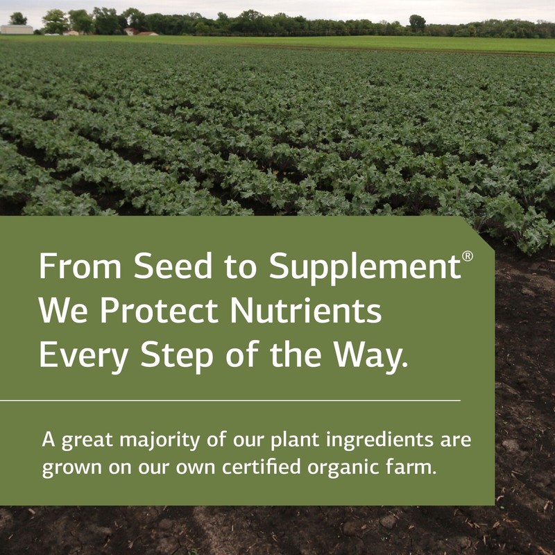 Standard Process SP Complete Whole Food Immune Support, 32 Ounce