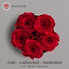 Amoroses Petite - Gift Box 5 Eternal Stabilised Roses -