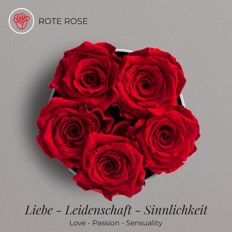 Amoroses Petite - Gift Box 5 Eternal Stabilised Roses -