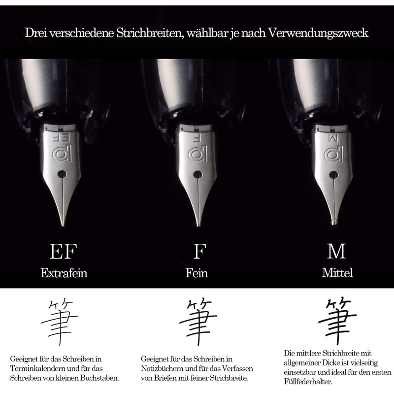 Platinum Curidas PKN7000 Full Nib Pen with Converter Set (#7