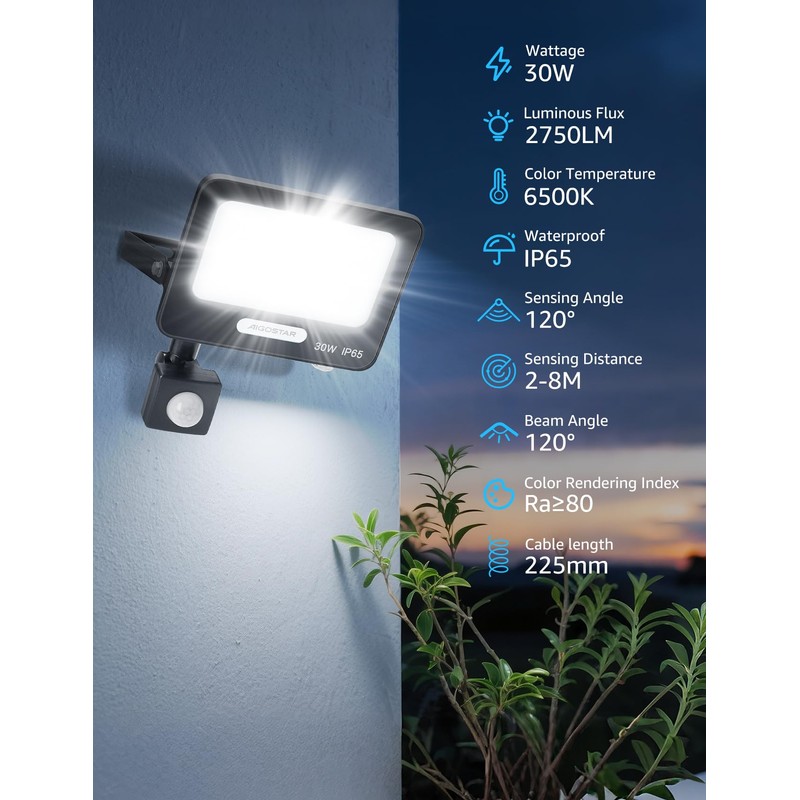 Aigostar PIR Outdoor Sensor Light, 30W Motion Sensor Flood Lights,