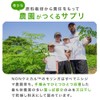 【有機JAS認証サプリ】モリンガ 菊芋 ニシジマ農園 熊本県産 100%天然由来の栄養補給 250mg 120粒【NONケミカル™】