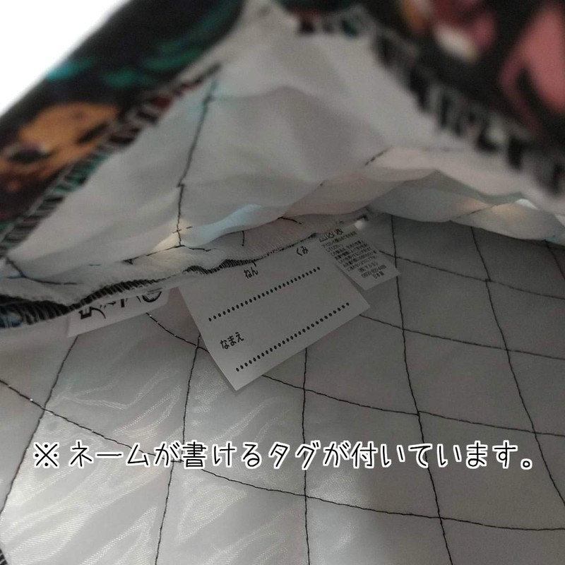 demon slayer: kimetsu no yaiba (鬼滅の刃) kimetsu no yaiba school