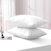 Moonlight Bedding Pillow Cases 2 Pack – White Pillowcases Envelope